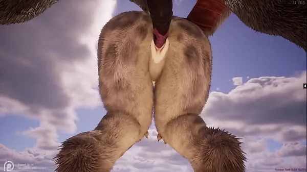 Visa Wild Life Furry Hentai färska filmer